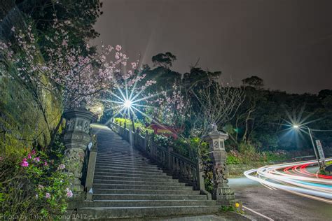 璧山有哪些好玩的？探索璧山之旅的多样魅力